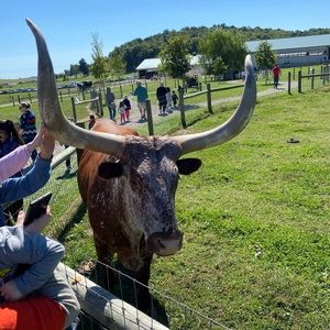 Meet your Posher, Joseph